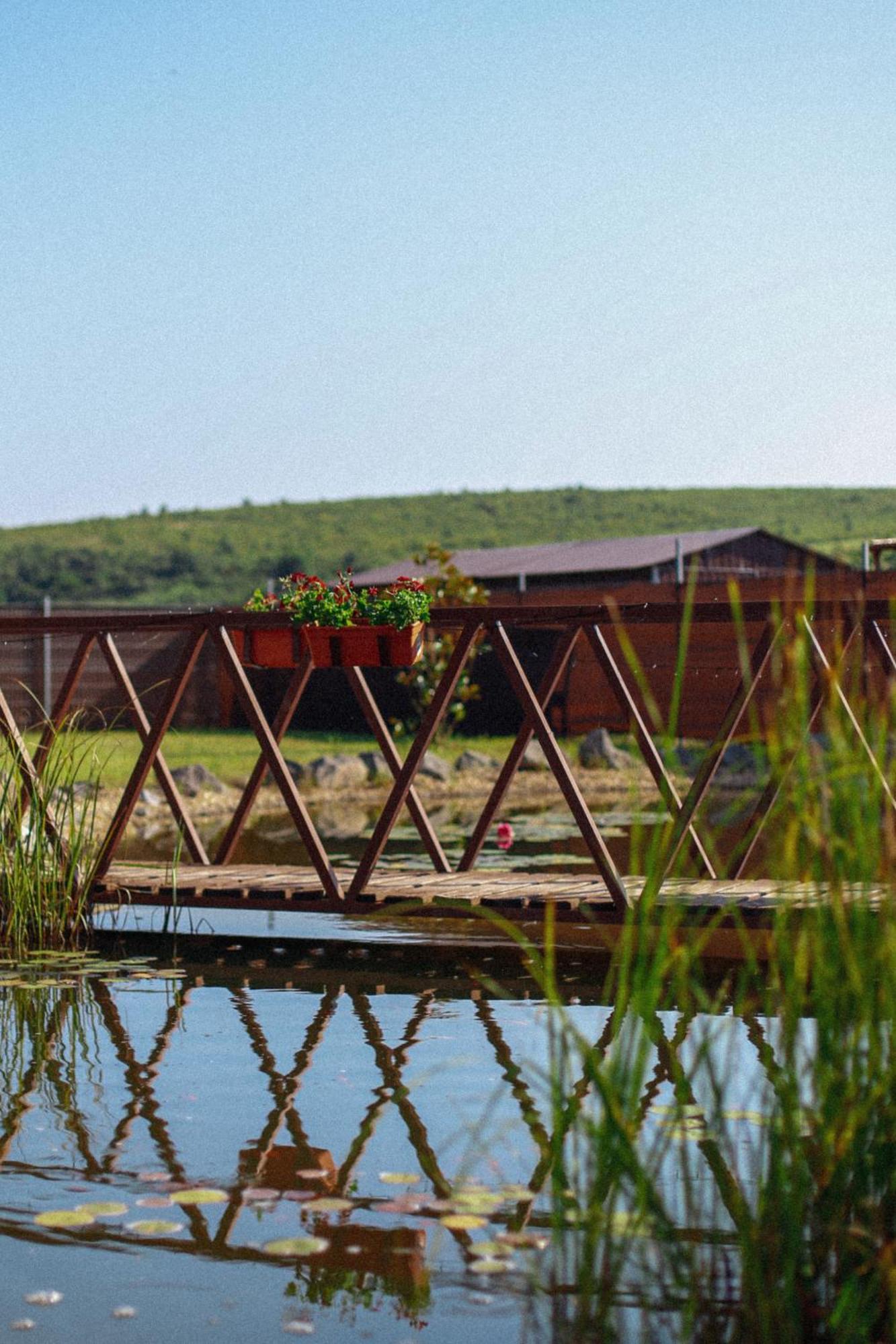 Megnyugtat-Lak Apartmanhaz Demjén Buitenkant foto